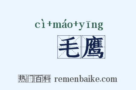 蛓毛鹰是什么意思的图片